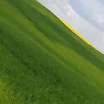 Widok 아파트